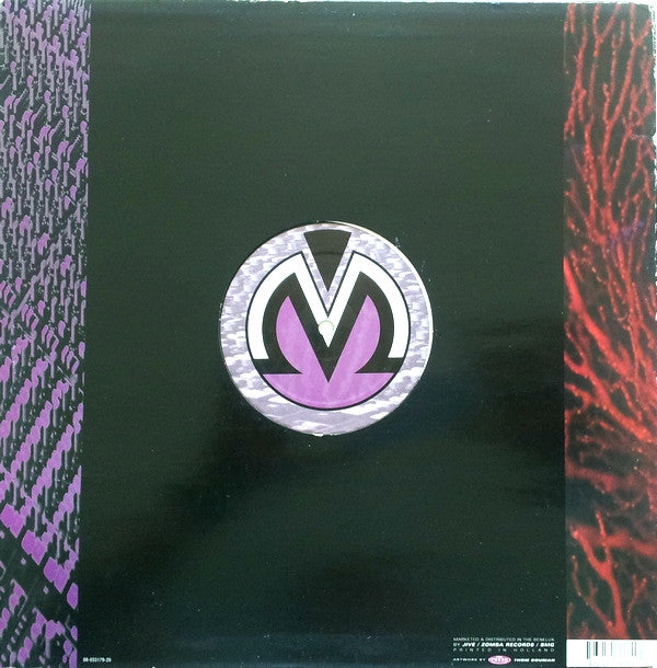 Anethum : Silence Is A Rhythm Too (12")