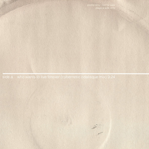 Sarah Brightman : Who Wants To Live Forever (Trouser Enthusiasts Mix) (12", S/Sided)