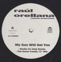 Raúl Orellana featuring Jocelyn Brown : My Sun Will Get You (12", Maxi, Promo)
