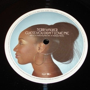 Terri Walker : Guess You Didn't Love Me (12")