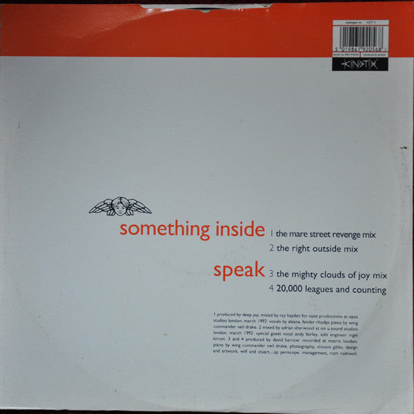 Deep Joy : Something Inside (12", Single)