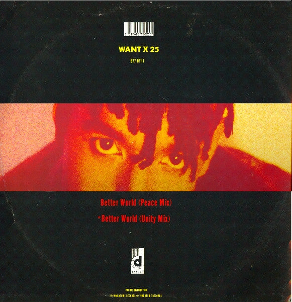 Rebel MC : Better World (12", Single)