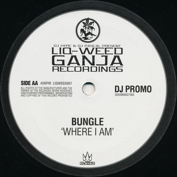Bungle : Good Times / Where I Am (12", Promo)