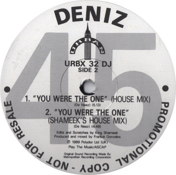 Deniz : You Were The One (12", Promo)