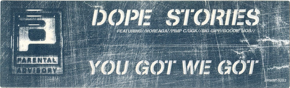 Parental Advisory : Dope Stories / You Got We Got (12", Promo)