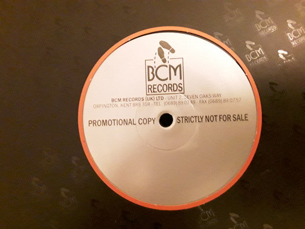 Raul Orellana* : The Real Wild House (12", S/Sided, Promo)