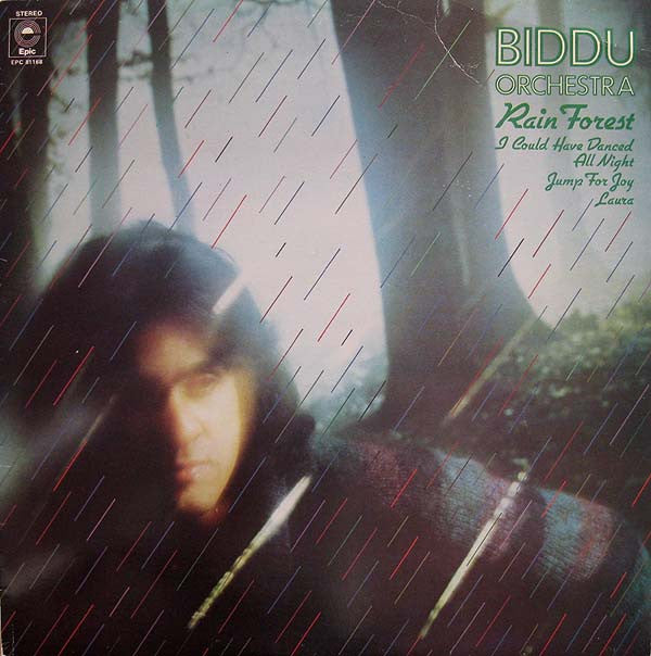 Biddu Orchestra : Rain Forest (LP, Album)