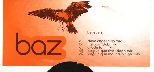 Baz : Believers (2x12")