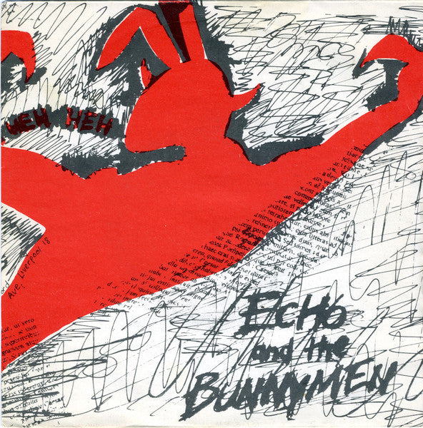 Echo & The Bunnymen : The Pictures On My Wall (7", Single, RE)