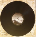 D'Marc Cantu x Danny Passarella : The Future Has A Silver Lining (12")