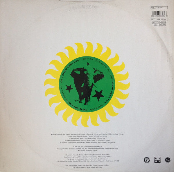 The Brand New Heavies Featuring Guest Vocalist N'Dea Davenport : Dream Come True (12")