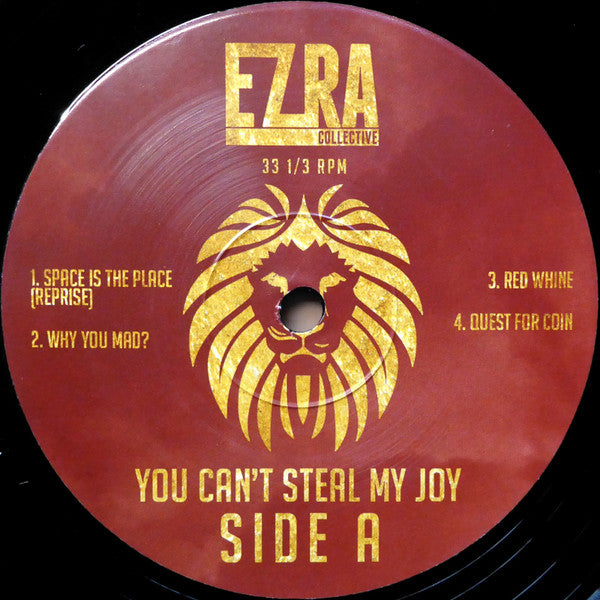 Ezra Collective : You Can't Steal My Joy (2xLP, Album)