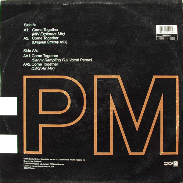 Ce Ce Rogers : Come Together (The Mixes) (12")