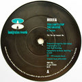 Reefa! : You Can't Stop The Groove (12")
