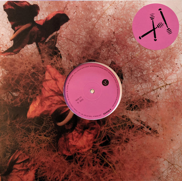 DJs Pareja : The After EP (12", EP)