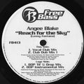 Angee Blake : Reach For The Sky (12")