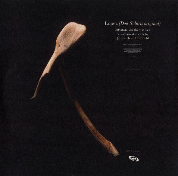 808 State : Lopez (12", Promo)