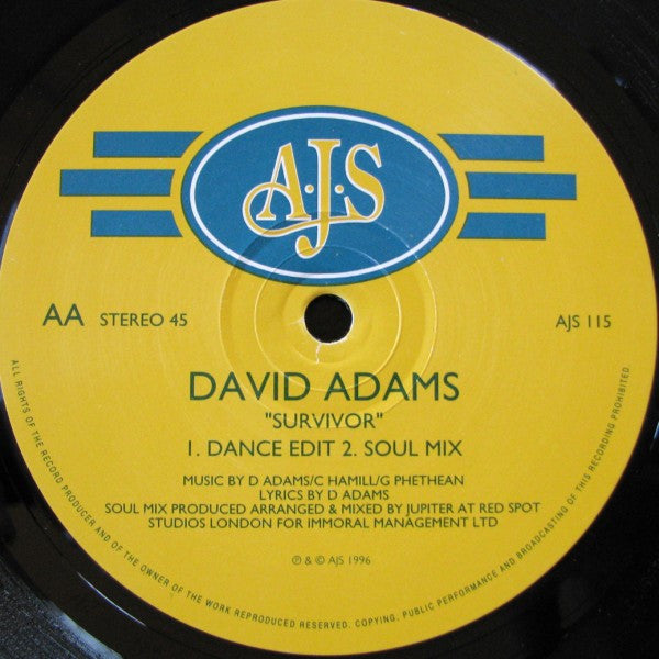David Adams : Survivor (12")