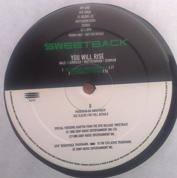 Sweetback : You Will Rise (12", Promo)