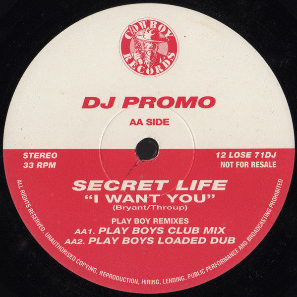 Secret Life : I Want You (12", Promo)