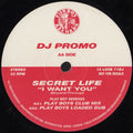 Secret Life : I Want You (12", Promo)
