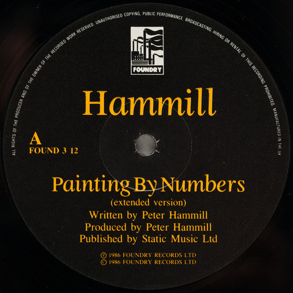 Peter Hammill : Painting By Numbers (12", Maxi)