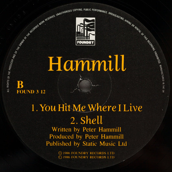 Peter Hammill : Painting By Numbers (12", Maxi)