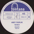 Andy Pawlak : Secrets (12", Promo)
