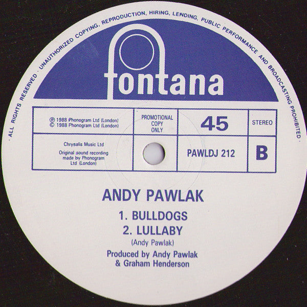 Andy Pawlak : Secrets (12", Promo)