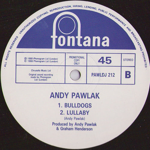 Andy Pawlak : Secrets (12", Promo)