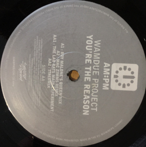 Wamdue Project : You're The Reason (12", Promo)