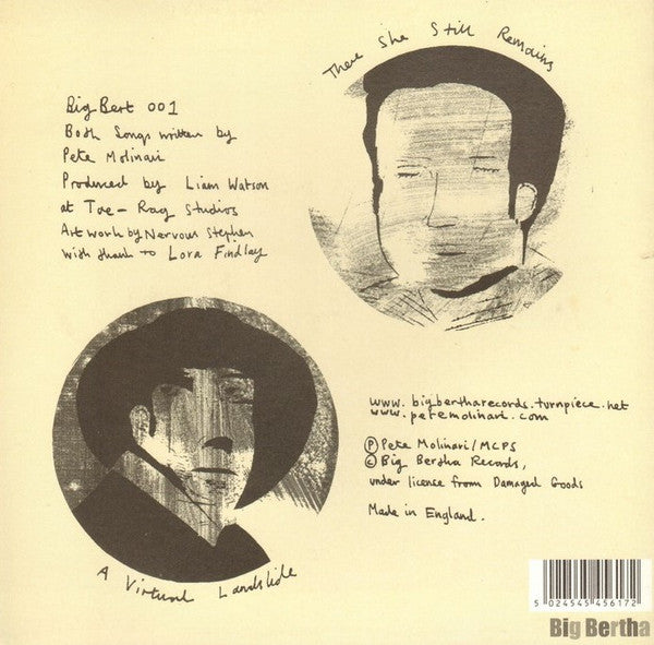 Pete Molinari : A Virtual Landslide (7")