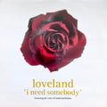 Loveland Featuring Rachel McFarlane : I Need Somebody (12")