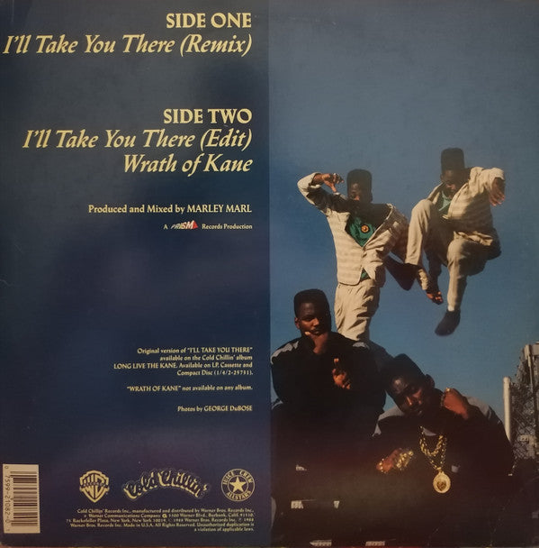 Big Daddy Kane : I'll Take You There  (12", Maxi, Pic)
