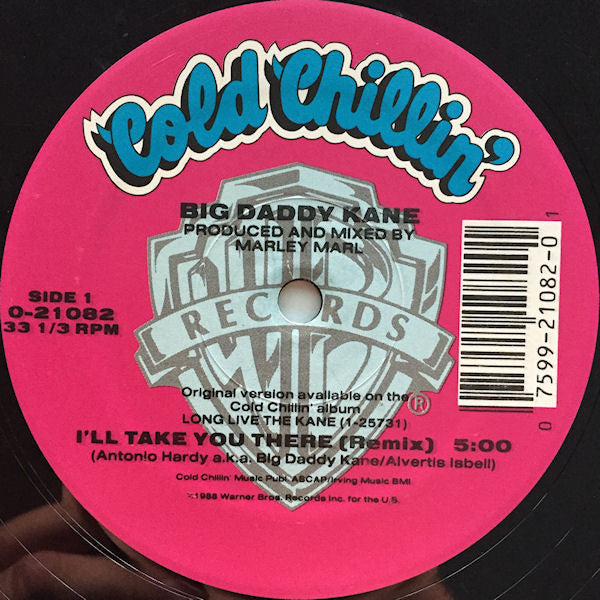 Big Daddy Kane : I'll Take You There  (12", Maxi, Pic)