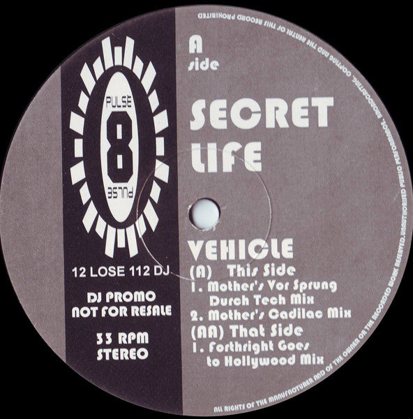 Secret Life : Vehicle (12", Promo)