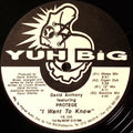 David Anthony Featuring Protege* : I Want To Know (12")