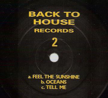 Various : Feel The Sunshine (12", Unofficial)