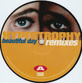 Hypertrophy : Beautiful Day (Remixes) (12")