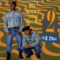 2 In A Room : Do What You Want (C+C Music Factory & David Morales Remixes) (12")