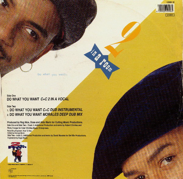 2 In A Room : Do What You Want (C+C Music Factory & David Morales Remixes) (12")