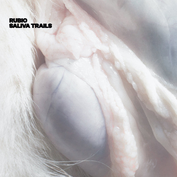 djrubio : Saliva Trails (12", EP)