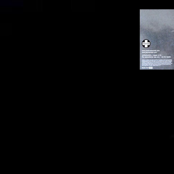 Paul Van Dyk Feat. Wayne Jackson (2) : The Other Side (12", Single, Promo)