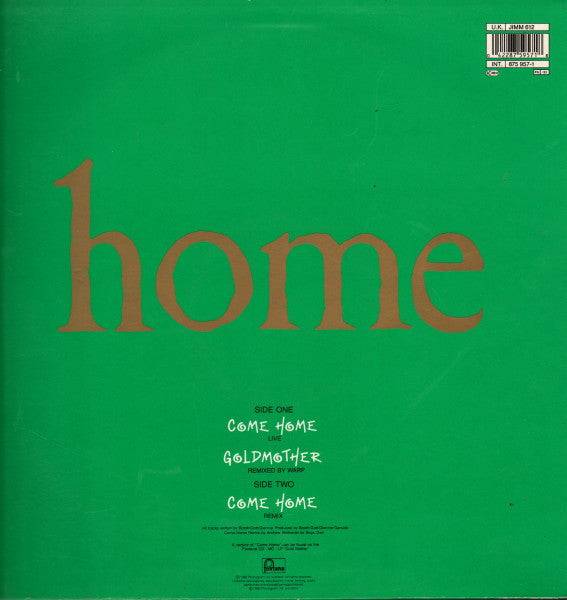 James : Come Home (12", Single)