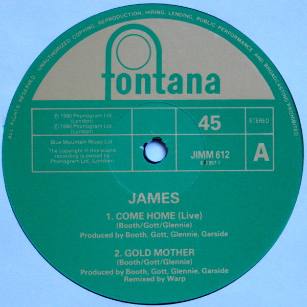 James : Come Home (12", Single)