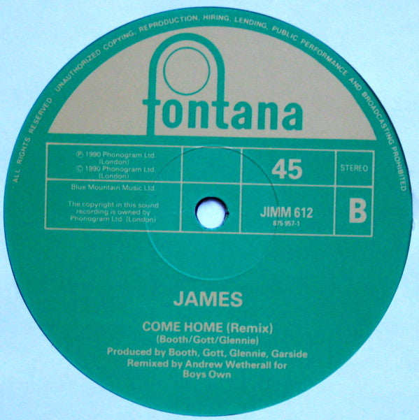 James : Come Home (12", Single)