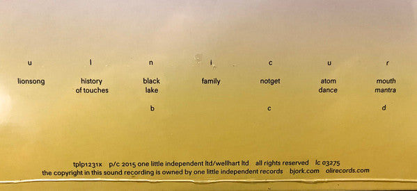 Björk : Vulnicura (2xLP, Album, RE)