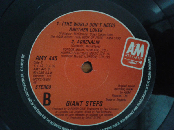 Giant Steps (2) : (The World Don't Need) Another Lover (12")