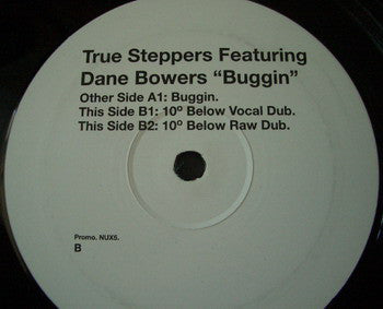 True Steppers Featuring Dane Bowers : Buggin (12", Promo)