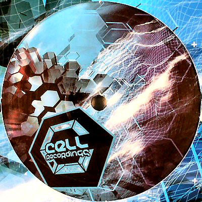 Counterstrike : Synergy (Raiden Remix) / V (Resonant Evil Remix) (12")